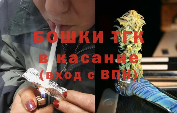 ешки Бородино