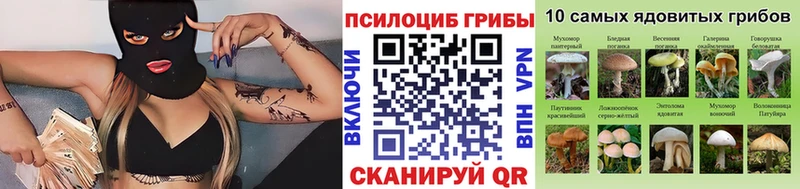 Галлюциногенные грибы мухоморы купить наркотики цена Северская